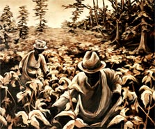 Cotton Pickers