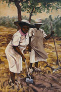 Lilies Of The Field