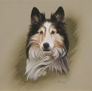 Baylee