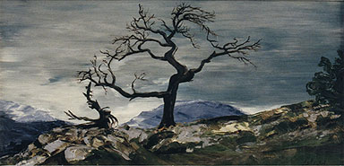 Burmis Tree