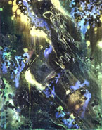 Cosmic Forest