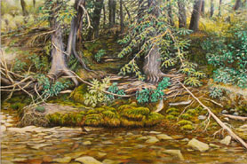 Whitney Creek 1
